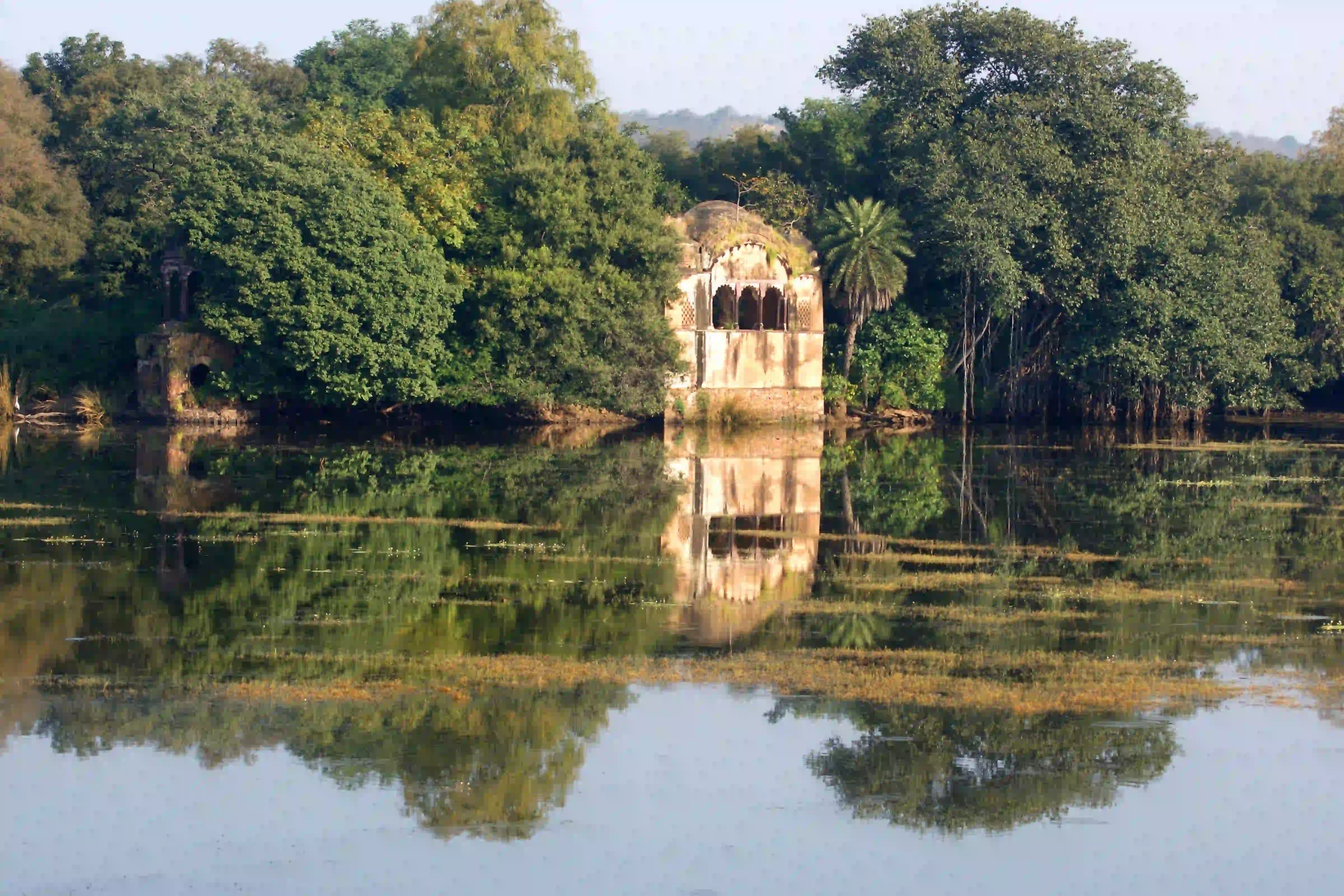 Golden triangle tour with Ranthambore Tiger Safari 4 Days