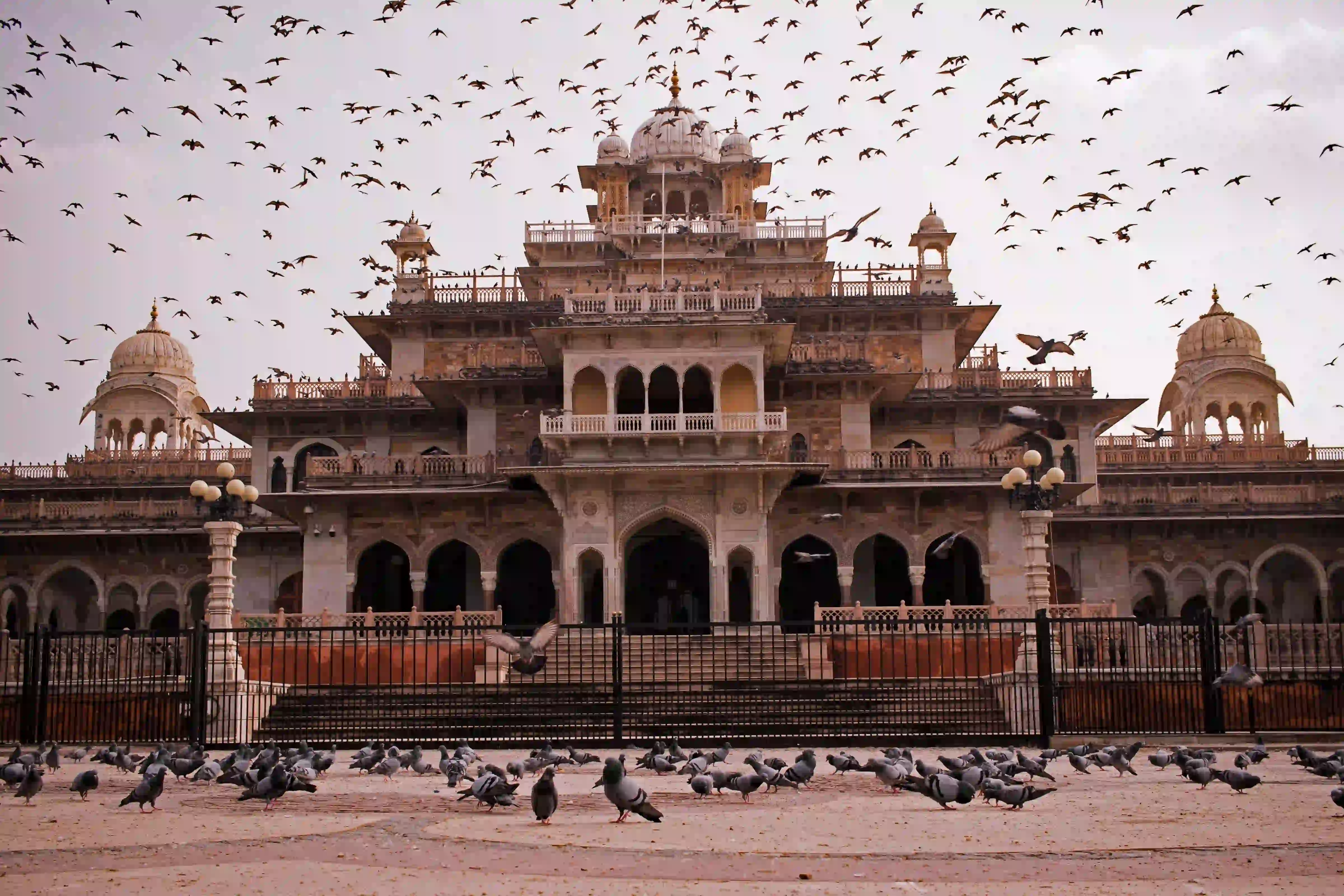 From Delhi: Jaipur City Private Day Tour by Fast Train